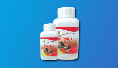 Morinda Antioxident