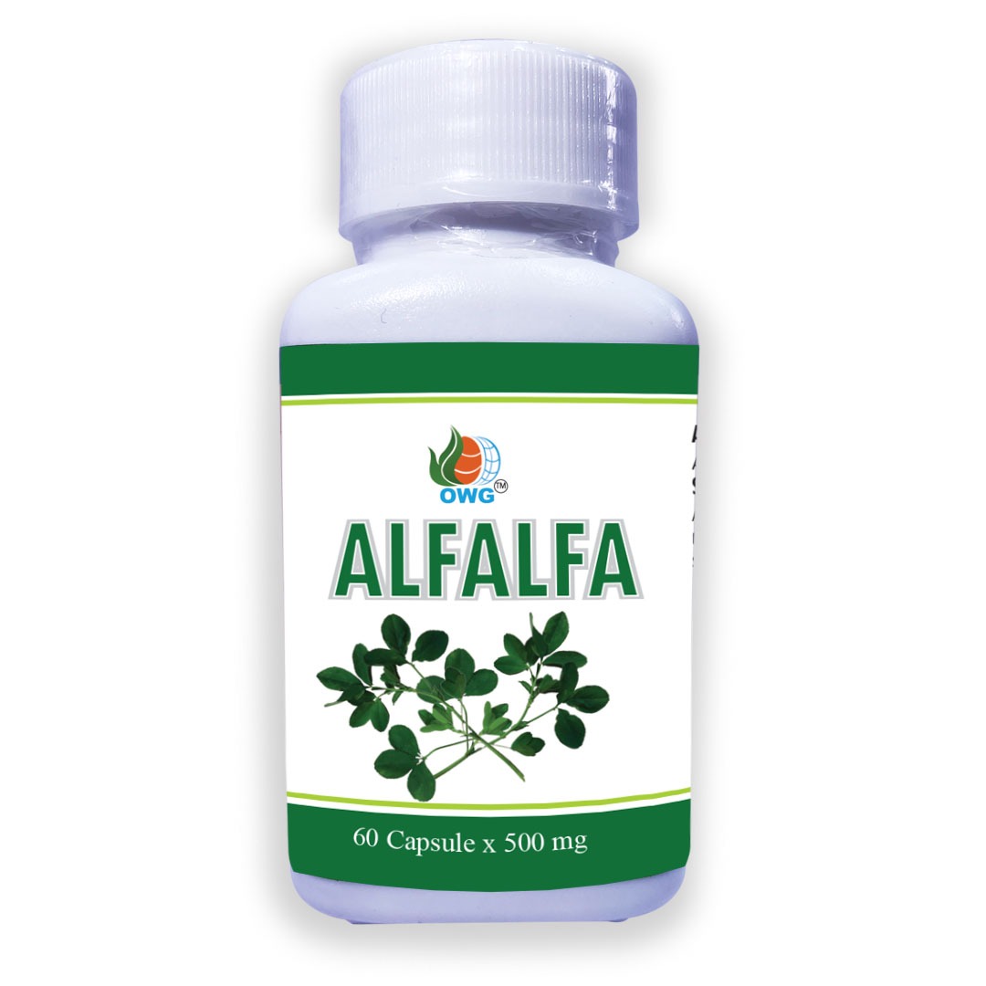 Alfa Alfa
