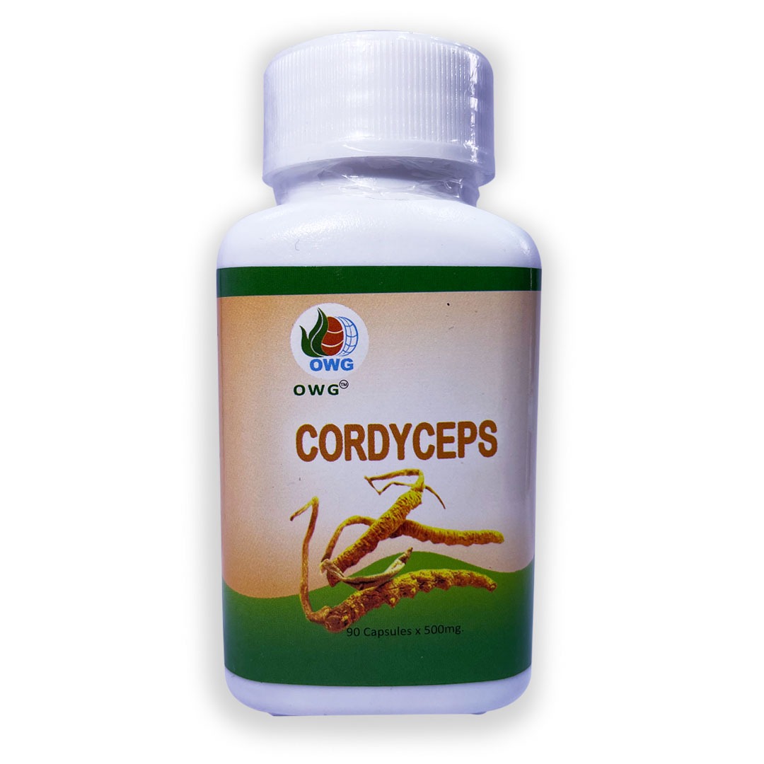 Cordyceps Capsules